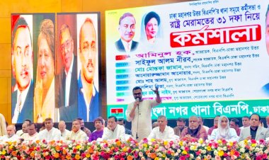 গণতন্ত্র প্রতিষ্ঠায় দ্রুত নির্বাচন দিন: আমিনুল হক