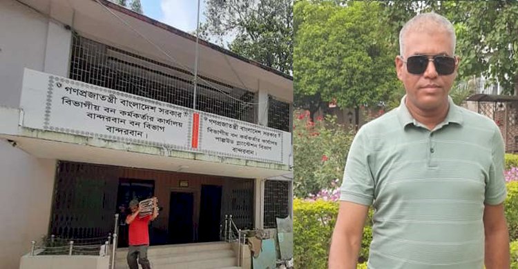 গাছ পাচারকারীদের কাছ থেকে সিএফ ও ডিএফও’র নামে চাঁদা আদায় করছে ফরেস্ট গার্ড নাছিরুল আলম চৌধুরী>
</div>
</div>
<div class=