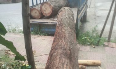 নিকডুতে গাছ কাটার অভিযোগে শেরেবাংলা নগর থানায় সাধারণ ডায়েরি 