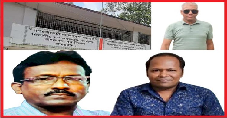 ঈদকে সামনে রেখে গাছ পাচারে বান্দরবান বন বিভাগের ত্রি-রত্ম সিন্ডিকেট বেপরোয়া