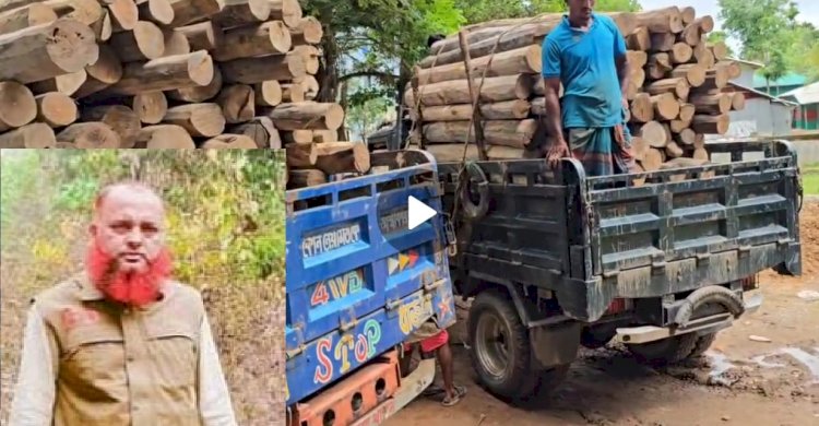 ডিএফও’র নির্দেশ অমান্য করে জব্দ গাড়ি ছাড়লেন ফরেস্টার আলতাফ হোসেন
