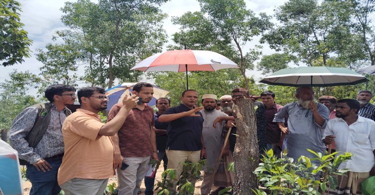 চট্টগ্রাম দক্ষিন বন বিভাগের পেকুয়ায় ৩০ হাজার আকাশমনি গাছ কর্তনের ঘটনায় তদন্তে নেমেছে বনবিভাগ>
</div>
</div>
<div class=
