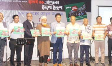 গণঅভ্যুত্থানে অবদানের স্বীকৃতি চেয়েছেন প্রবাসী জুলাই যোদ্ধারা 