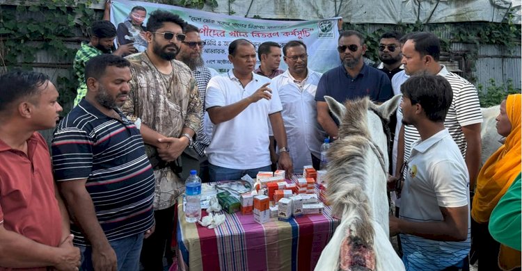 কক্সবাজারে ঘোড়ার জন্য খাদ্য বিতরণ করেছে অ্যানিমেল ওয়েলফেয়ার অ্যাসোসিয়েশন