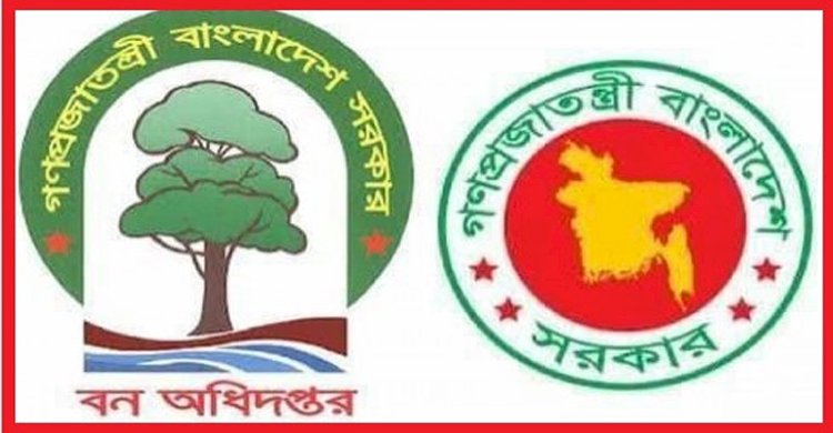 বন অধিদপ্তরের মাঠকর্মীদের পদোন্নতি, মিথ্যা অভিযোগে সংবাদমাধ্যমকে প্রতিবাদ।