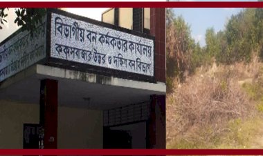 কক্সবাজার দক্ষিন বন বিভাগের ধোয়া পালং রেঞ্জে ২শ একর বনভূমি অবৈধ দখলে নিয়েছে ভূমিদস্যু সিন্ডিকেট