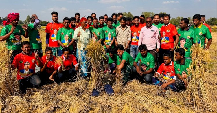 শিবগঞ্জে স্বেচ্ছাশ্রমে ধান কাটার কর্মসূচি