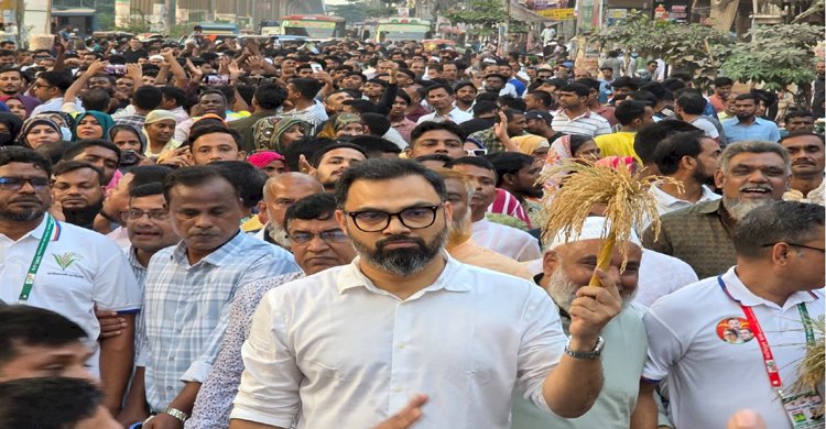 পল্লবীতে আমিনুল হকের সমর্থনে বিএনপির গণমিছিল