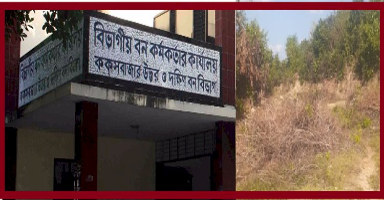 কক্সবাজার দক্ষিন বন বিভাগের ধোয়া পালং রেঞ্জে ২শ একর বনভূমি অবৈধ দখলে নিয়েছে ভূমিদস্যু সিন্ডিকেট