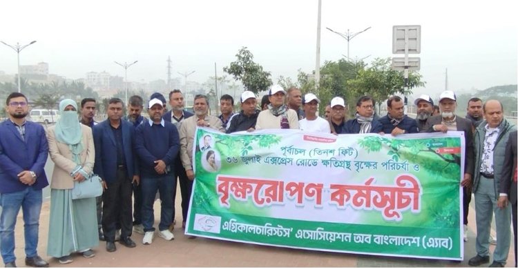 ৩০০ ফিটে ক্ষতিগ্রস্ত স্থানে বৃক্ষরোপণ করল অ্যাব 
