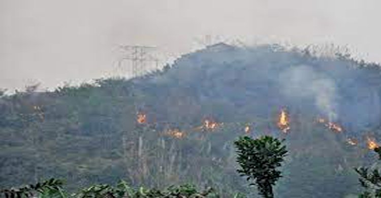 শিলখালী রেঞ্জ কর্মকর্তা আবুল কালামের নেতৃত্বে টেকনাফে পাহাড়ে আগুন