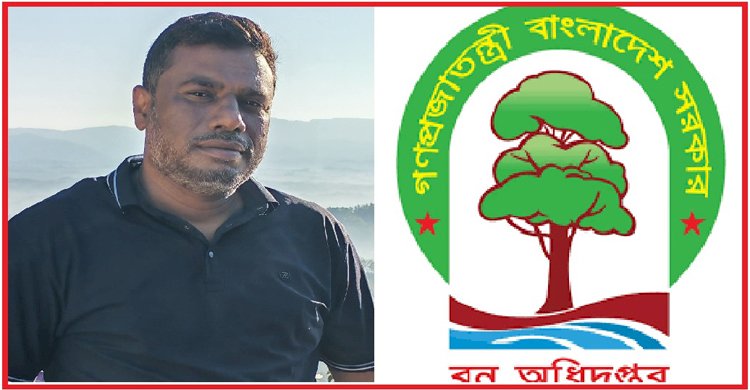বনবিভাগের ‘আলাদিনের চেরাগ’ ডেপুটি রেঞ্জার আব্দুল হামিদ; বনের জমি ও কাঠে গড়েছেন অঢেল সম্পদ