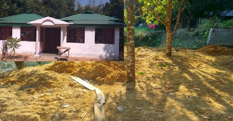 কক্সবাজারে বনেই রাজারকুল রেঞ্জ কর্মকর্তার জমিদারি: দিনদিন সরকারী বনায়ন নিশ্চিহ্ন