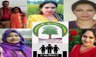 বন উজাড়ে সর্বকালের রেকর্ড সৃষ্টিকারী ময়মনসিংহ বন বিভাগে কর্মরত লেডি কিলার খ্যাত ডেপুটি রেঞ্জার ইসমাইলের বিরুদ্ধে দুদকের মামলার প্রক্রিয়া চুড়ান্ত