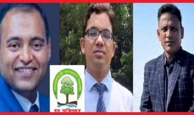 কক্সবাজার দক্ষিণ বনবিভাগের উখিয়ায় ৩ লাখে মিলছে বনভূমিতে অট্টালিকার অনুমতি