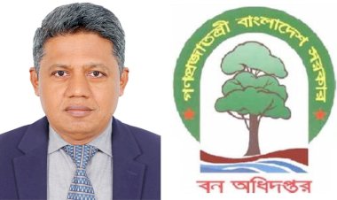 রাঙামাটি বন বিভাগে বদলি বাণিজ্য ও জোত পারমিটের ‘মহোৎসব’ ধ্বংসের মুখে সংরক্ষিত বনাঞ্চল