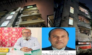 ময়মনসিংহ বন বিভাগে দুর্নীতির 'আলাদীনের চেরাগ' ও আব্দুল করিমের সাম্রাজ্য, কাজী মুহাম্মদ নরুল করিম, ডিএফও এর নিরব ভূমিকা 