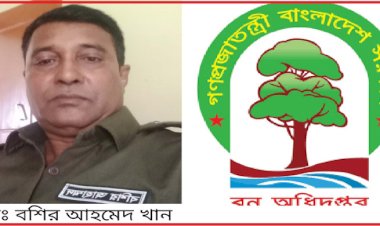 বনখেকো বশিরের রাজত্বে বিলীন টেকনাফের উপকূলীয় বন, নেপথ্যে ডিএফওদের ‘অদৃশ্য’ আশির্বাদ