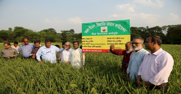 জিয়াউর রহমান ফাউন্ডেশন কতৃক উৎপাদিত কমল বীজ  ধান উৎপাদন ও কৃষকদের সাথে মত বিনিময় 