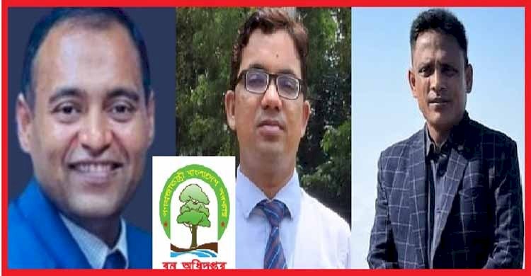 কক্সবাজার দক্ষিণ বনবিভাগের উখিয়ায় ৩ লাখে মিলছে বনভূমিতে অট্টালিকার অনুমতি