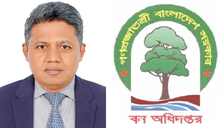 রাঙামাটি বন বিভাগে বদলি বাণিজ্য ও জোত পারমিটের ‘মহোৎসব’ ধ্বংসের মুখে সংরক্ষিত বনাঞ্চল