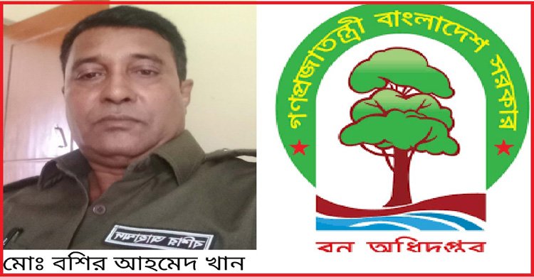 বনখেকো বশিরের রাজত্বে বিলীন টেকনাফের উপকূলীয় বন, নেপথ্যে ডিএফওদের ‘অদৃশ্য’ আশির্বাদ