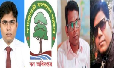 শহরে বসে এসিএফ আবরারের মাসোহারা গ্রহণ: নারায়ণহাটে আনিচুর-পিংকি কুমার সিন্ডিকেটের কবলে উজাড় হচ্ছে বন, পাহাড় ও বন্যপ্রাণী