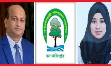 বান্দরবান বন বিভাগে ডিএফও তৌফিক ও এসিএফ রিটা আকতার এর দুর্নীতির রাজত্ব (পর্ব ১)