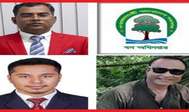 বিসিএসের দাপট ও ‘ক্যাশিয়ার’ মুরাদ ও স্বাধীন রাঙামাটি বন বিভাগের দুর্নীতির বর সাজ্জাদ শাহী