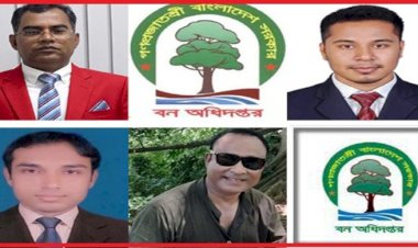 রাঙামাটি দক্ষিণ বন বিভাগের ২ লাখ একরের রিজার্ভ গিলে খাচ্ছে সাজ্জাদ-মুরাদ সিন্ডিকেট