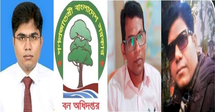 শহরে বসে এসিএফ আবরারের মাসোহারা গ্রহণ: নারায়ণহাটে আনিচুর-পিংকি কুমার সিন্ডিকেটের কবলে উজাড় হচ্ছে বন, পাহাড় ও বন্যপ্রাণী