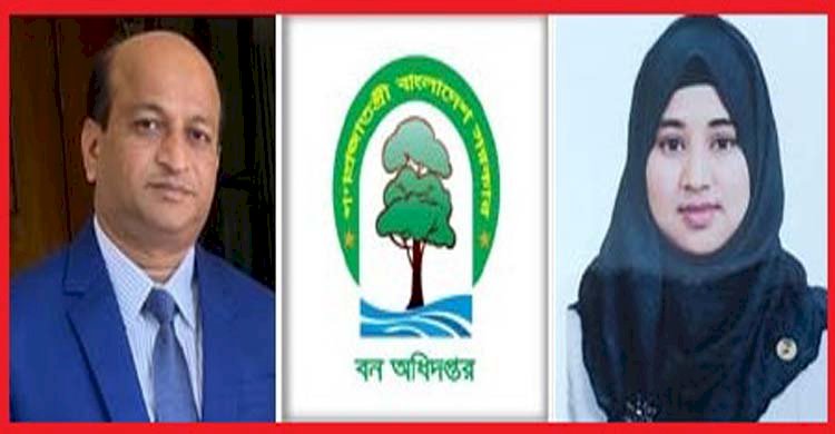 বান্দরবান বন বিভাগে ডিএফও তৌফিক ও এসিএফ রিটা আকতার এর দুর্নীতির রাজত্ব (পর্ব ১)