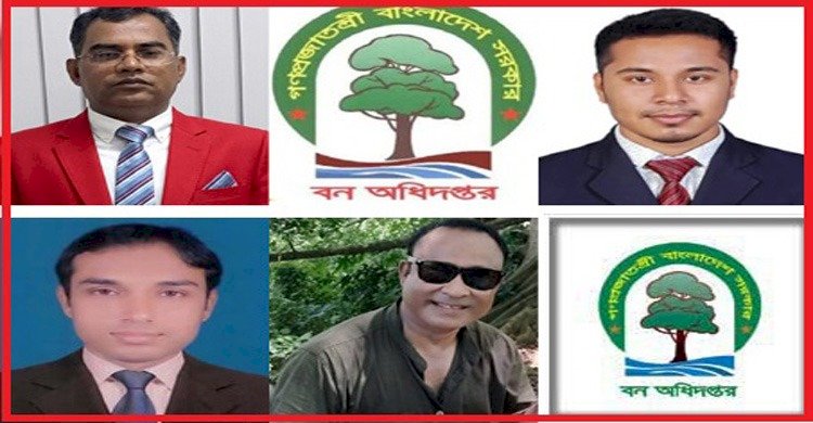 রাঙামাটি দক্ষিণ বন বিভাগের ২ লাখ একরের রিজার্ভ গিলে খাচ্ছে সাজ্জাদ-মুরাদ সিন্ডিকেট