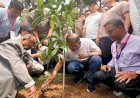 দেশব্যাপী ২৫ কোটি বৃক্ষরোপণ কর্মসূচি উদ্বোধন করলেন প্রধানমন্ত্রী