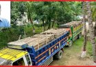 লামা রূপসীপাড়া ক্যাম্পের সেনাবাহিনীর অভিযানে কাঠবোঝাই ২ ট্রাক জব্দ ॥ কোটি টাকার বনভূমি ধ্বংসের নেপথ্যে শক্তিশালী সিন্ডিকেট
