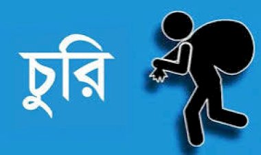 সন্দেহের তালিকায় এ্যাপার্টমেন্টের কর্মচারি ও ম্যানেজার  কমলাপুর বিশ্বাস টাওয়ারে দুর্ধর্ষ চুরি