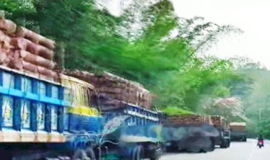 বান্দরবানের পাহাড় থেকে ট্রাক ভর্তি কয়েক লক্ষ সিএফটি কাঠ অবৈধভাবে পাচার