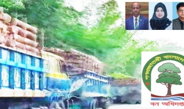 বান্দরবান পাহাড় থেকে ঈদ ছুটিতে শতাধিক ট্রাক ভর্তি কাঠ অবৈধভাবে কেটে পাচার