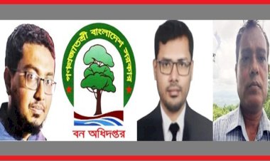৩৮তম বিসিএস-এর এসিএফ মাসুদের অতিরিক্ত লোভ ও সিন্ডিকেটে ধ্বংসের মুখে লামার বনাঞ্চল
