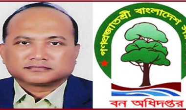 সুন্দরবন ও টাঙ্গাইল বন বিভাগে লুণ্ঠন শেষে এবার লক্ষ্য চট্টগ্রাম উত্তর বন বিভাগ