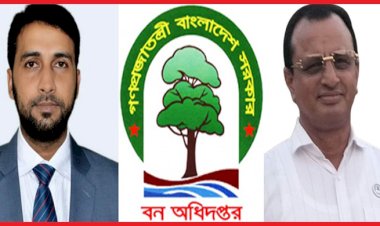 ডিএফও ইউসুফ ও ফরেস্টার শফিকুলের যৌথ সিন্ডিকেটে উজাড় সরকারি বনাঞ্চল