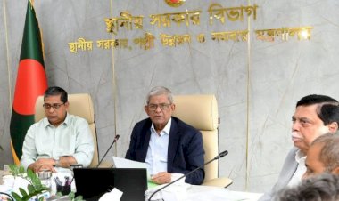 ডেঙ্গু প্রতিরোধে টাস্কফোর্স গঠনের সিদ্ধান্ত
