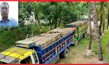 লামা রূপসীপাড়া ক্যাম্পের সেনাবাহিনীর অভিযানে কাঠবোঝাই ২ ট্রাক জব্দ ॥ কোটি টাকার বনভূমি ধ্বংসের নেপথ্যে শক্তিশালী সিন্ডিকেট