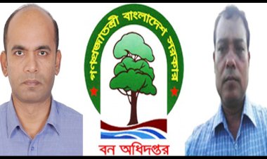তদন্ত ধামাচাপা দিতে সিএফ এর ছায়া! লামার ‘বনখেকো’ রেঞ্জার কবিরের খুঁটির জোর কোথায়?