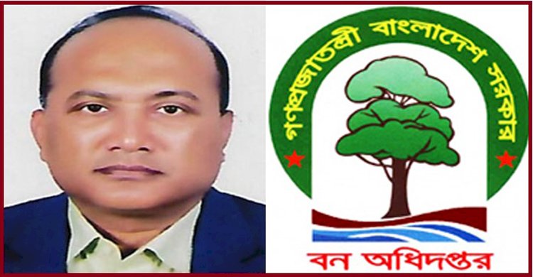 সুন্দরবন ও টাঙ্গাইল বন বিভাগে লুণ্ঠন শেষে এবার লক্ষ্য চট্টগ্রাম উত্তর বন বিভাগ
