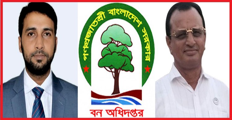 ডিএফও ইউসুফ ও ফরেস্টার শফিকুলের যৌথ সিন্ডিকেটে উজাড় সরকারি বনাঞ্চল