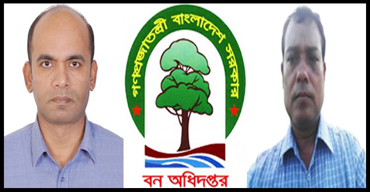 তদন্ত ধামাচাপা দিতে সিএফ এর ছায়া! লামার ‘বনখেকো’ রেঞ্জার কবিরের খুঁটির জোর কোথায়?