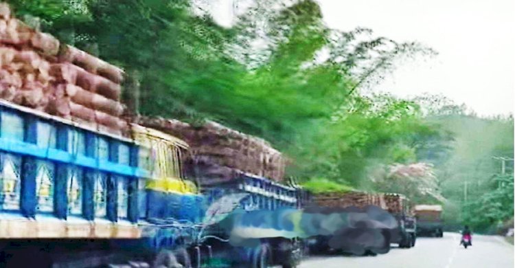 বান্দরবানের পাহাড় থেকে ট্রাক ভর্তি কয়েক লক্ষ সিএফটি কাঠ অবৈধভাবে পাচার