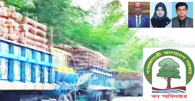 বান্দরবান পাহাড় থেকে ঈদ ছুটিতে শতাধিক ট্রাক ভর্তি কাঠ অবৈধভাবে কেটে পাচার
