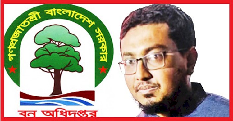 ৩৮তম বিসিএস-এর এসিএফ মাসুদের অতিরিক্ত লোভ ও সিন্ডিকেটে ধ্বংসের মুখে লামার বনাঞ্চল